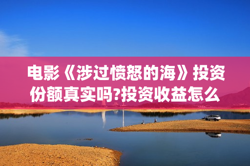 电影《涉过愤怒的海》投资份额真实吗?投资收益怎么样?预计多少票房?(电影《涉过愤怒的海》定档)