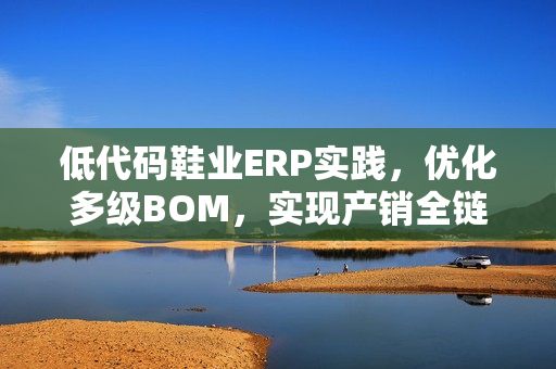 低代码鞋业ERP实践，优化多级BOM，实现产销全链路打通，开发周期大幅缩短70%