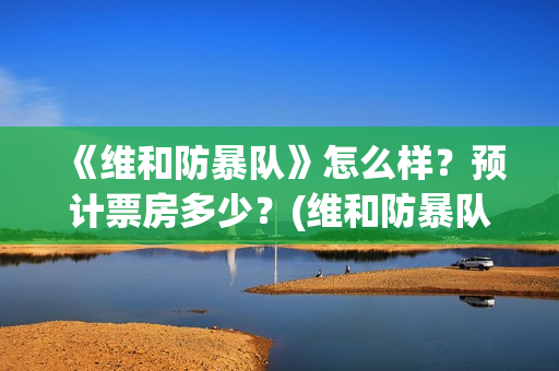 《维和防暴队》怎么样？预计票房多少？(维和防暴队剧情介绍)