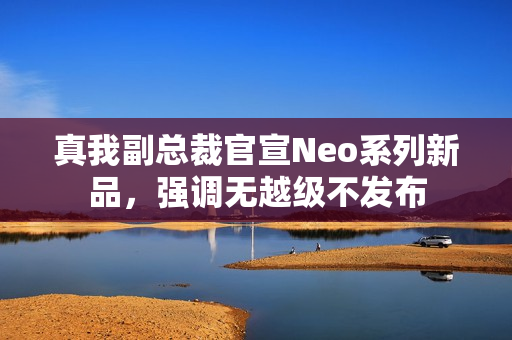 真我副总裁官宣Neo系列新品，强调无越级不发布