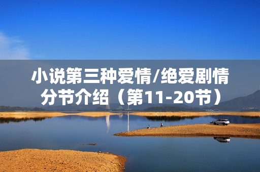 小说第三种爱情/绝爱剧情分节介绍（第11-20节）