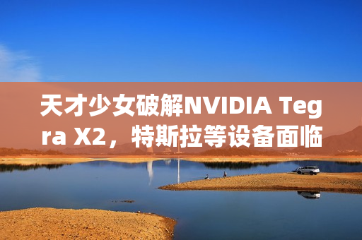 天才少女破解NVIDIA Tegra X2，特斯拉等设备面临无法修复的威胁