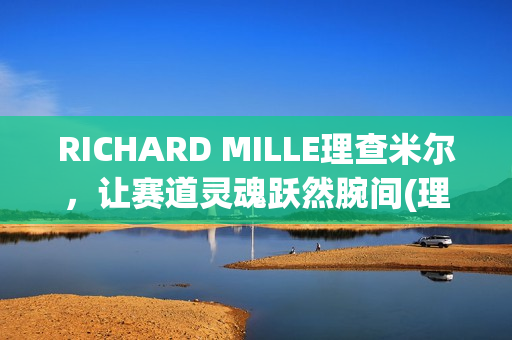 RICHARD MILLE理查米尔，让赛道灵魂跃然腕间(理查029)