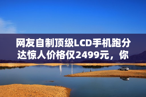 网友自制顶级LCD手机跑分达惊人价格仅2499元，你敢购买吗？