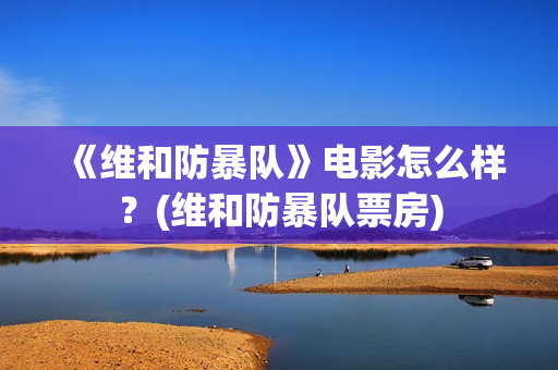 《维和防暴队》电影怎么样？(维和防暴队票房)