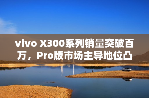 vivo X300系列销量突破百万，Pro版市场主导地位凸显