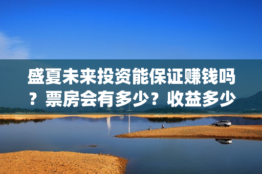 盛夏未来投资能保证赚钱吗？票房会有多少？收益多少？(盛夏未来可以投资吗)