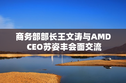 商务部部长王文涛与AMD CEO苏姿丰会面交流