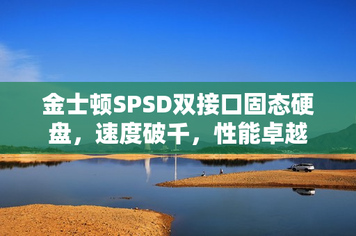 金士顿SPSD双接口固态硬盘，速度破千，性能卓越