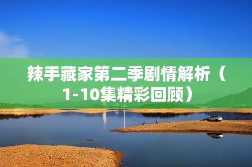 辣手藏家第二季剧情解析（1-10集精彩回顾）