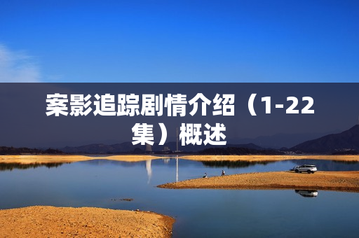 案影追踪剧情介绍（1-22集）概述