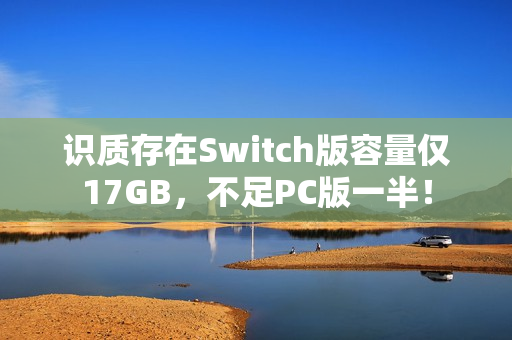 识质存在Switch版容量仅17GB，不足PC版一半！