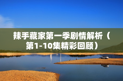 辣手藏家第一季剧情解析（第1-10集精彩回顾）