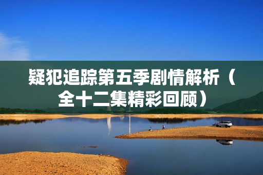 疑犯追踪第五季剧情解析（全十二集精彩回顾）