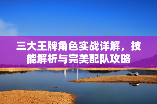 三大王牌角色实战详解，技能解析与完美配队攻略