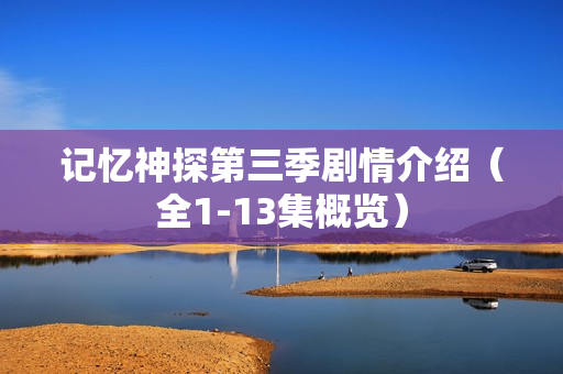 记忆神探第三季剧情介绍（全1-13集概览）