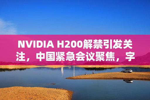 NVIDIA H200解禁引发关注，中国紧急会议聚焦，字节、阿里、腾讯等行业巨头反应强烈
