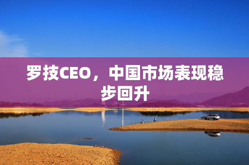 罗技CEO，中国市场表现稳步回升