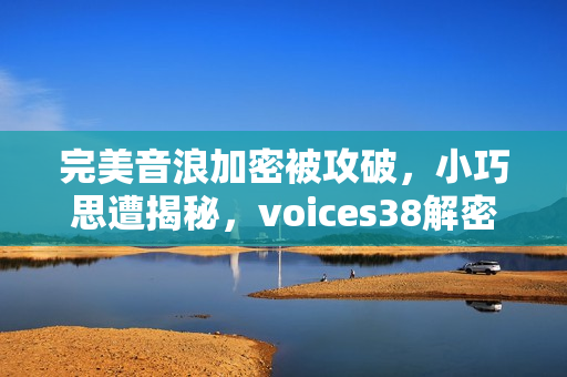 完美音浪加密被攻破，小巧思遭揭秘，voices38解密成功揭秘标题