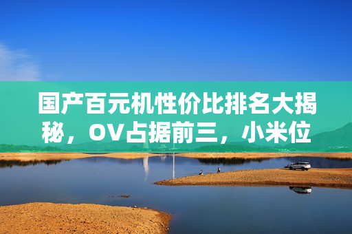 国产百元机性价比排名大揭秘，OV占据前三，小米位列第五