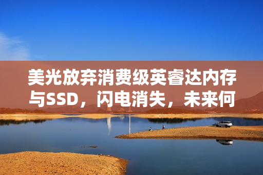 美光放弃消费级英睿达内存与SSD，闪电消失，未来何去何从？