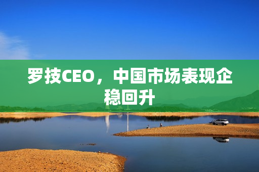 罗技CEO，中国市场表现企稳回升