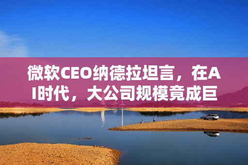 微软CEO纳德拉坦言，在AI时代，大公司规模竟成巨大劣势