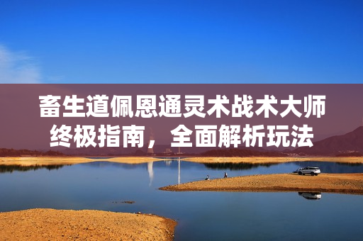 畜生道佩恩通灵术战术大师终极指南，全面解析玩法