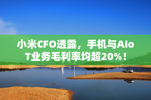 小米CFO透露，手机与AIoT业务毛利率均超20%！