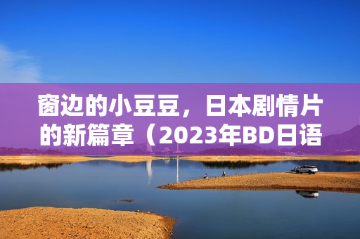 窗边的小豆豆，日本剧情片的新篇章（2023年BD日语中字版）
