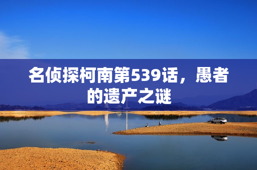 名侦探柯南第539话，愚者的遗产之谜