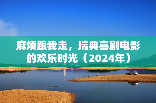 麻烦跟我走，瑞典喜剧电影的欢乐时光（2024年）