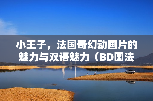 小王子，法国奇幻动画片的魅力与双语魅力（BD国法双语中字）