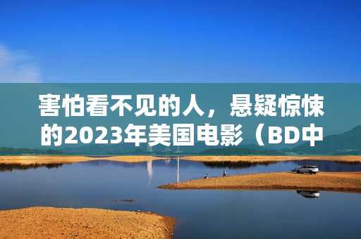 害怕看不见的人，悬疑惊悚的2023年美国电影（BD中英双字字幕）