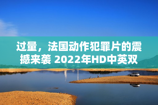 过量，法国动作犯罪片的震撼来袭 2022年HD中英双字版