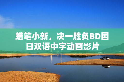 蜡笔小新，决一胜负BD国日双语中字动画影片