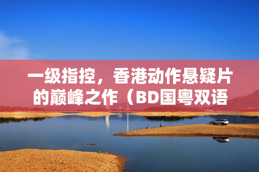 一级指控，香港动作悬疑片的巅峰之作（BD国粤双语中字）
