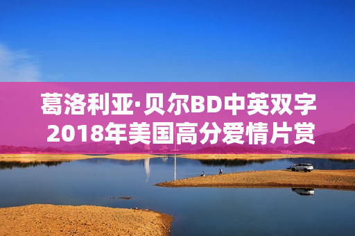 葛洛利亚·贝尔BD中英双字 2018年美国高分爱情片赏析
