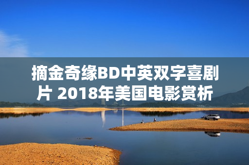 摘金奇缘BD中英双字喜剧片 2018年美国电影赏析