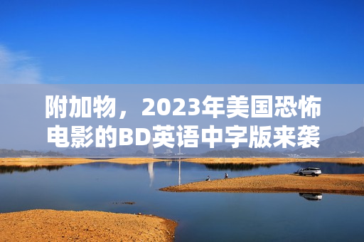 附加物，2023年美国恐怖电影的BD英语中字版来袭