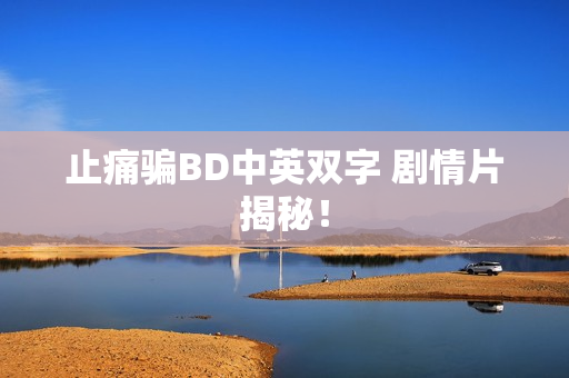 止痛骗BD中英双字 剧情片揭秘！