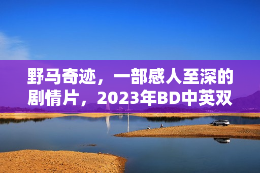 野马奇迹，一部感人至深的剧情片，2023年BD中英双字呈现