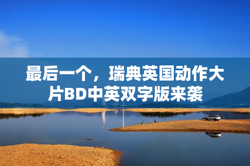 最后一个，瑞典英国动作大片BD中英双字版来袭