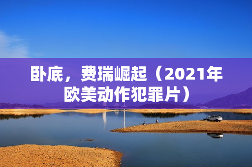 卧底，费瑞崛起（2021年欧美动作犯罪片）