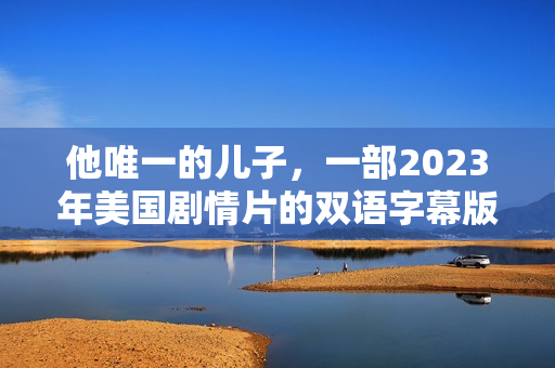 他唯一的儿子，一部2023年美国剧情片的双语字幕版BD赏析