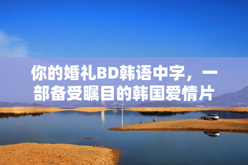 你的婚礼BD韩语中字，一部备受瞩目的韩国爱情片