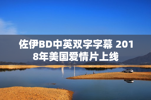 佐伊BD中英双字字幕 2018年美国爱情片上线
