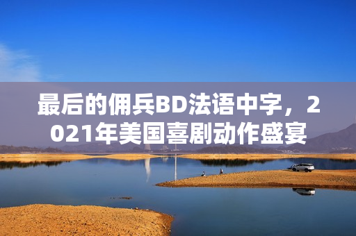 最后的佣兵BD法语中字，2021年美国喜剧动作盛宴