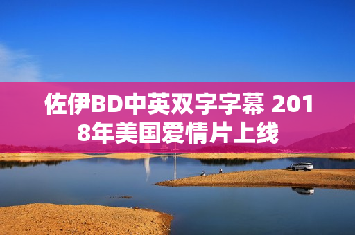 佐伊BD中英双字字幕 2018年美国爱情片上线