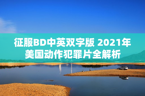 征服BD中英双字版 2021年美国动作犯罪片全解析
